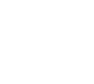 shark logo outlined