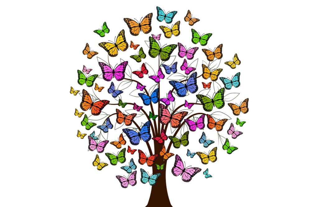 butterflies