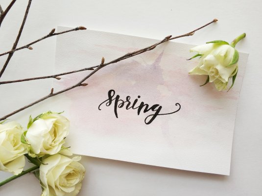 spring graphic with flowers