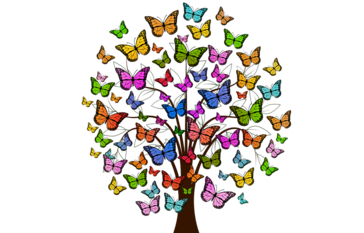 butterflies