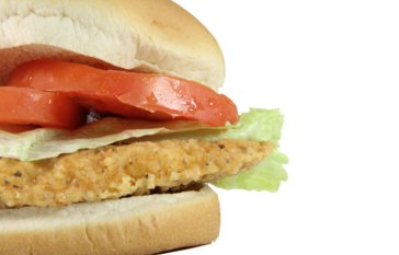 chicken sandwich